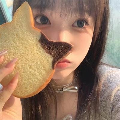 猫狗武林